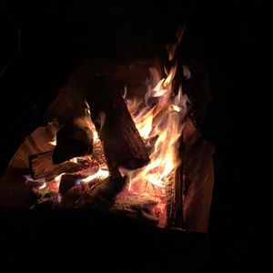 Meet your Posher, Lynn